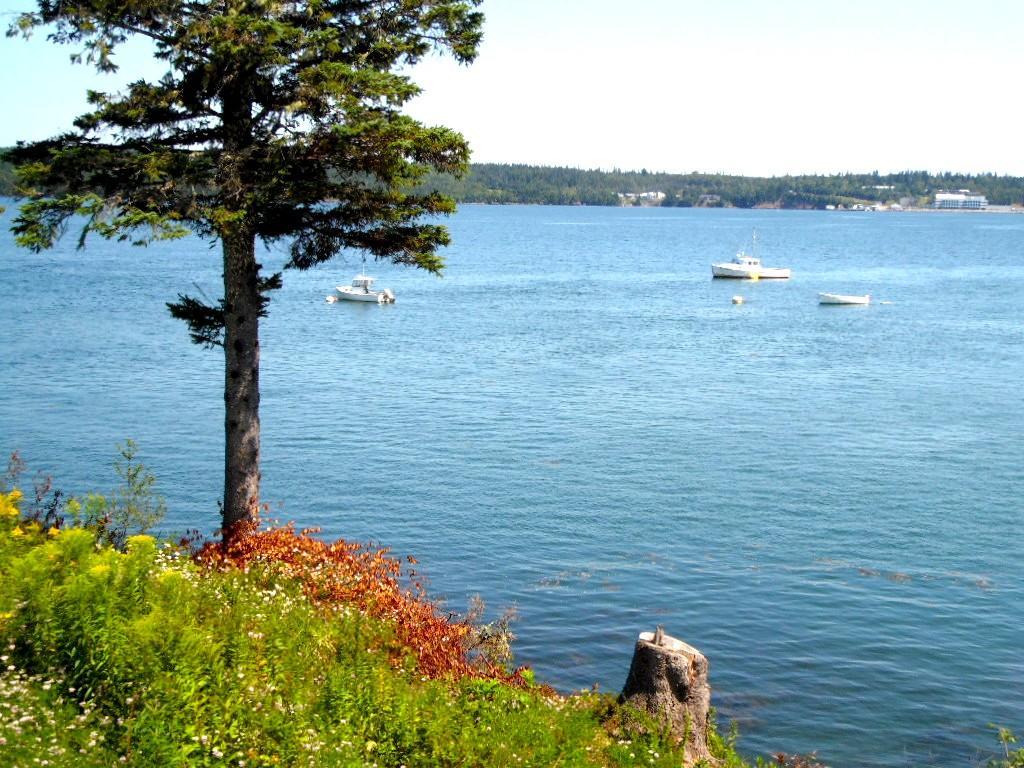 Redclyffe Shore Motor Inn Robbinston Esterno foto